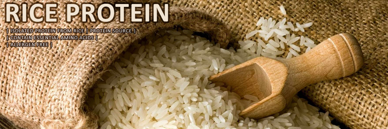 Rice Protein